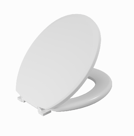 Toilet Seat with Matte Top